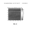 SYSTEM AND METHOD FOR RECONSTRUCTION OF THE HUMAN EAR CANAL FROM OPTICAL     COHERENCE TOMOGRAPHY SCANS diagram and image