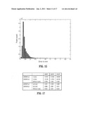 SYSTEM AND METHOD FOR RECONSTRUCTION OF THE HUMAN EAR CANAL FROM OPTICAL     COHERENCE TOMOGRAPHY SCANS diagram and image