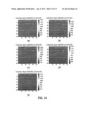 SYSTEM AND METHOD FOR RECONSTRUCTION OF THE HUMAN EAR CANAL FROM OPTICAL     COHERENCE TOMOGRAPHY SCANS diagram and image