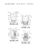 PLANT PACKAGE HAVING A DECORATIVE COVERING diagram and image