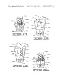 PLANT PACKAGE HAVING A DECORATIVE COVERING diagram and image