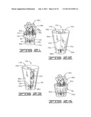 PLANT PACKAGE HAVING A DECORATIVE COVERING diagram and image