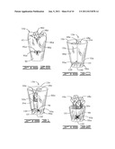 PLANT PACKAGE HAVING A DECORATIVE COVERING diagram and image