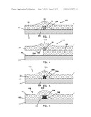 Biosensors and Methods of Making diagram and image