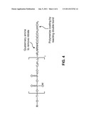 NANOENGINEERED FIELD INDUCED CHARGE SEPARATION MEMBRANES MANUFACTURE     THEREOF diagram and image