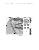 COMPACT SCANNING ELECTRON MICROSCOPE diagram and image