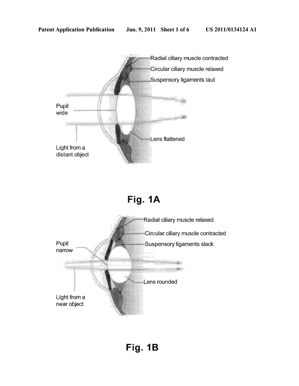 VISION-BASED COMPUTER CONTROL - diagram, schematic, and image 02