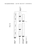 STEREOSCOPIC IMAGE DATA TRANSMITTER AND STEREOSCOPIC IMAGE DATA RECEIVER diagram and image