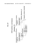 STEREOSCOPIC IMAGE DATA TRANSMITTER, METHOD FOR TRANSMITTING STEREOSCOPIC     IMAGE DATA, STEREOSCOPIC IMAGE DATA  RECEIVER, AND METHOD FOR RECEIVING     STEREOSCOPIC IMAGE DATA diagram and image