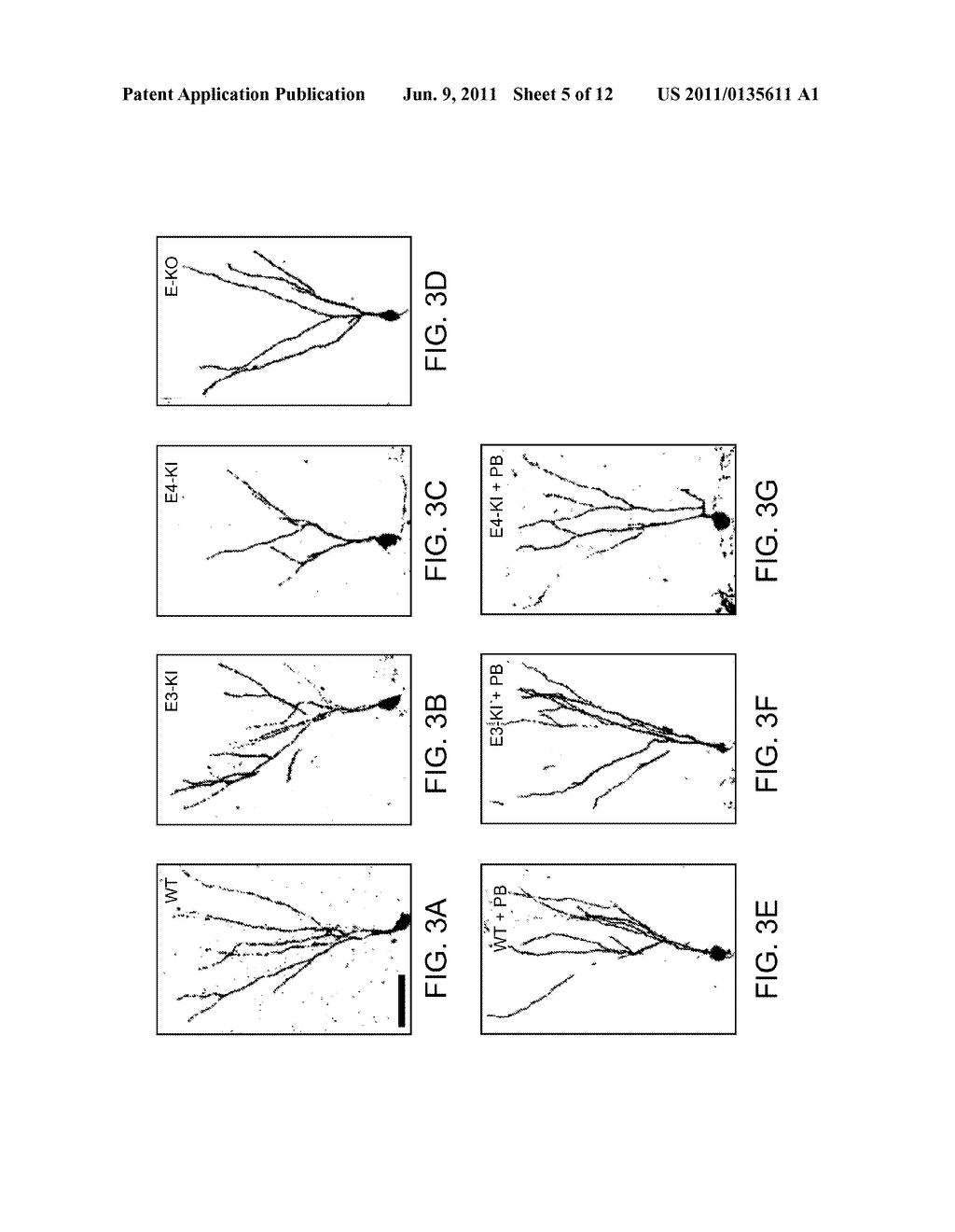 METHODS FOR TREATING APOLIPOPROTEIN E4-ASSOCIATED DISORDERS - diagram, schematic, and image 06