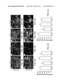 METHODS FOR TREATING APOLIPOPROTEIN E4-ASSOCIATED DISORDERS diagram and image