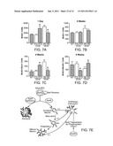 METHODS FOR TREATING APOLIPOPROTEIN E4-ASSOCIATED DISORDERS diagram and image