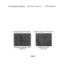 TRANSIENTLY BUFFERED LACTOBACILLUS PREPARATIONS AND USE THEREOF diagram and image