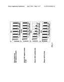 Pharmaceutical Compositions Comprising Antibodies Binding To EBV     (Ebstein-Barr Virus) Protein BARF1 diagram and image