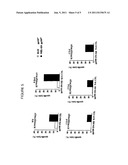 MELANOMA ASSOCIATED PEPTIDE ANALOGUES AND VACCINES AGAINST MELANOMA diagram and image