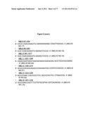 Methods and Compositions for the Inhibition of Gene Expression diagram and image