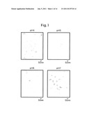 VIRAL PARTICLE-LIKE STRUCTURE IN PHYSIOLOGICAL CONDITIONS, AND METHOD OF     FORMING IT diagram and image