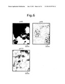 VIRAL PARTICLE-LIKE STRUCTURE IN PHYSIOLOGICAL CONDITIONS, AND METHOD OF     FORMING IT diagram and image