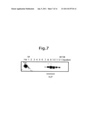 VIRAL PARTICLE-LIKE STRUCTURE IN PHYSIOLOGICAL CONDITIONS, AND METHOD OF     FORMING IT diagram and image