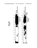 VIRAL PARTICLE-LIKE STRUCTURE IN PHYSIOLOGICAL CONDITIONS, AND METHOD OF     FORMING IT diagram and image