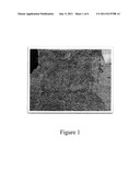 POLYSILOXANE (SILICONE) TREATMENT COMPOSITION FOR SUPPRESSION OF MOLD AND     SPOILAGE ON ANIMAL FEED AND FORAGE, AND METHODS OF USING SAME diagram and image