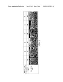 METHOD OF MANUFACTURING UNIT CELL OF SOLID OXIDE FUEL CELL USING TRANSFER     PROCESS diagram and image