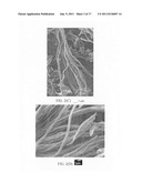 Submicron-scale and lower-micron graphitic fibrils as an anode active     material for a lithium ion battery diagram and image