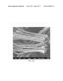 Submicron-scale and lower-micron graphitic fibrils as an anode active     material for a lithium ion battery diagram and image