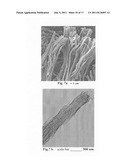 Submicron-scale and lower-micron graphitic fibrils as an anode active     material for a lithium ion battery diagram and image