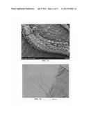 Submicron-scale and lower-micron graphitic fibrils as an anode active     material for a lithium ion battery diagram and image