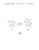 FUEL CELL CATALYST SUPPORT WITH BORON CARBIDE-COATED METAL     OXIDES/PHOSPHATES AND METHOD OF MANUFACTURING SAME diagram and image