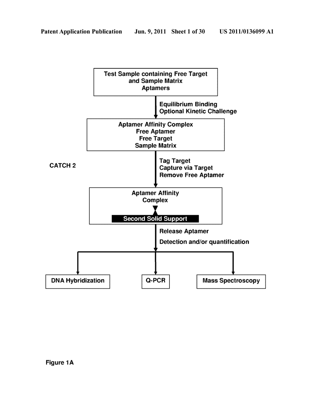 Multiplexed Analyses of Test Samples - diagram, schematic, and image 02