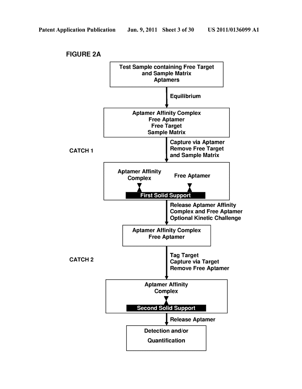 Multiplexed Analyses of Test Samples - diagram, schematic, and image 04