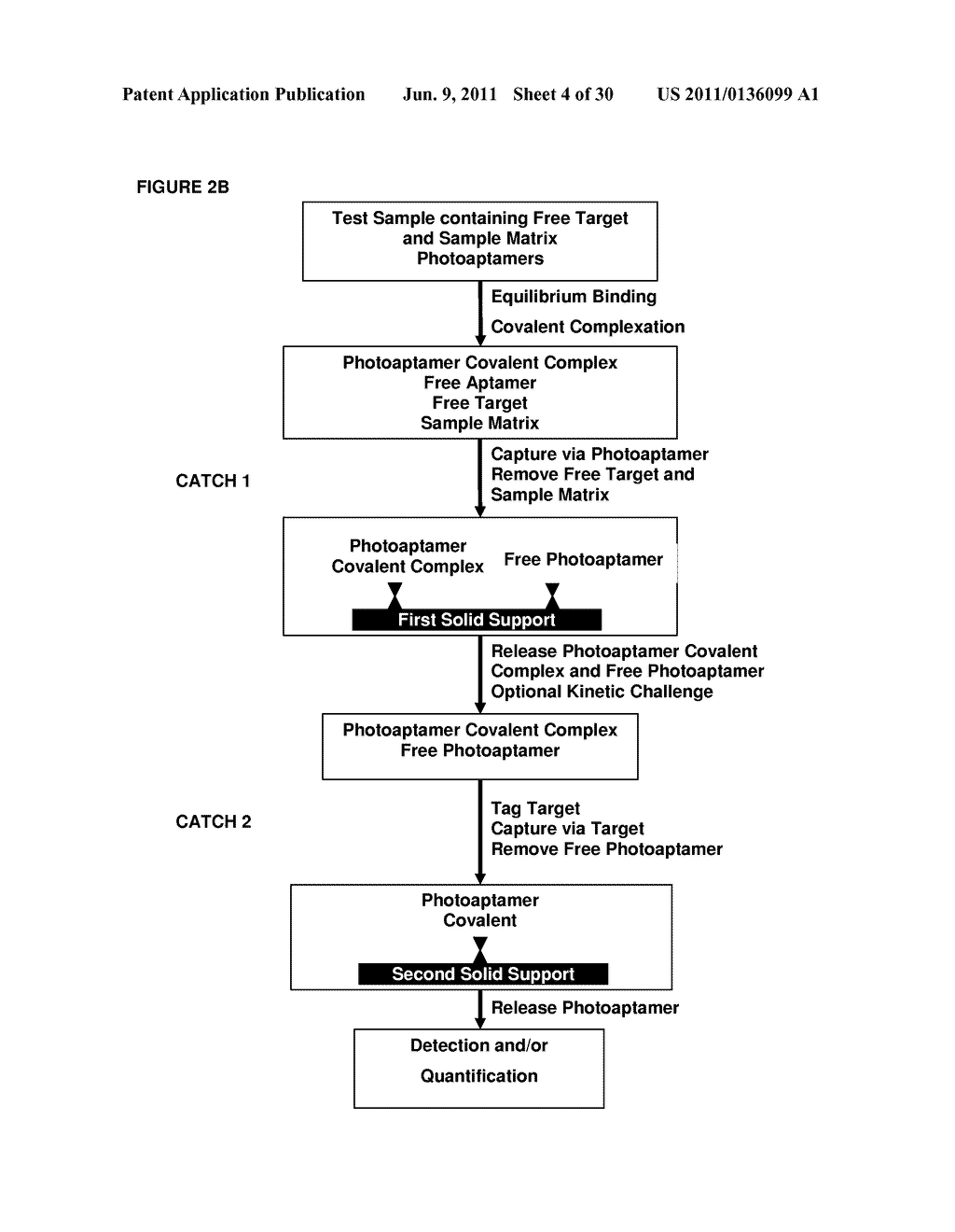 Multiplexed Analyses of Test Samples - diagram, schematic, and image 05