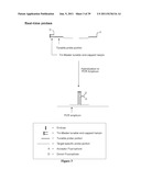 DETECTION OF TARGET NUCLEIC ACID SEQUENCES USING FLUORESCENCE RESONANCE     ENERGY TRANSFER diagram and image