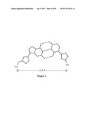 DETECTION OF TARGET NUCLEIC ACID SEQUENCES USING FLUORESCENCE RESONANCE     ENERGY TRANSFER diagram and image