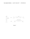 DETECTION OF TARGET NUCLEIC ACID SEQUENCES USING FLUORESCENCE RESONANCE     ENERGY TRANSFER diagram and image