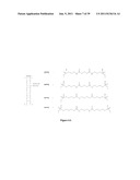 DETECTION OF TARGET NUCLEIC ACID SEQUENCES USING FLUORESCENCE RESONANCE     ENERGY TRANSFER diagram and image