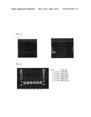 Method of Detecting Heat-Resistant Fungus diagram and image