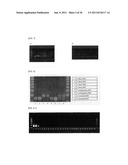 Method of Detecting Heat-Resistant Fungus diagram and image