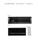 Method of Detecting Heat-Resistant Fungus diagram and image