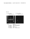 Method of Detecting Heat-Resistant Fungus diagram and image