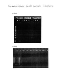 Method of Detecting Heat-Resistant Fungus diagram and image