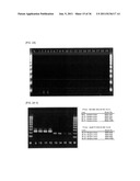 Method of Detecting Heat-Resistant Fungus diagram and image