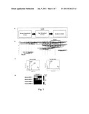 ALTERNATIVE SPLICING GENE VARIANTS IN CANCER diagram and image