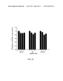 MICRORNA EXPRESSION PROFILES ASSOCIATED WITH LUNG CANCER diagram and image