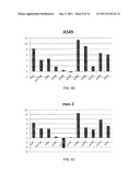 MICRORNA EXPRESSION PROFILES ASSOCIATED WITH LUNG CANCER diagram and image