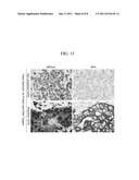 METHOD FOR CHROMOGENIC DETECTION OF TWO OR MORE TARGET MOLECULES IN A     SINGLE SAMPLE diagram and image