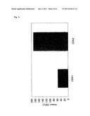 Method for measuring enzyme activity and column for use in measuring     enzyme activity diagram and image