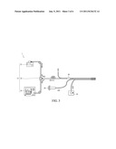 IMMUNODETECTION PROBE AND METHOD OF IMMUNODETECTION USING THE SAME diagram and image